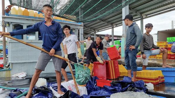 Ứng phó bão số 4: Ninh Thuận: Ngư dân hối hả vào bờ bán hải sản tránh bão. - Sputnik Việt Nam