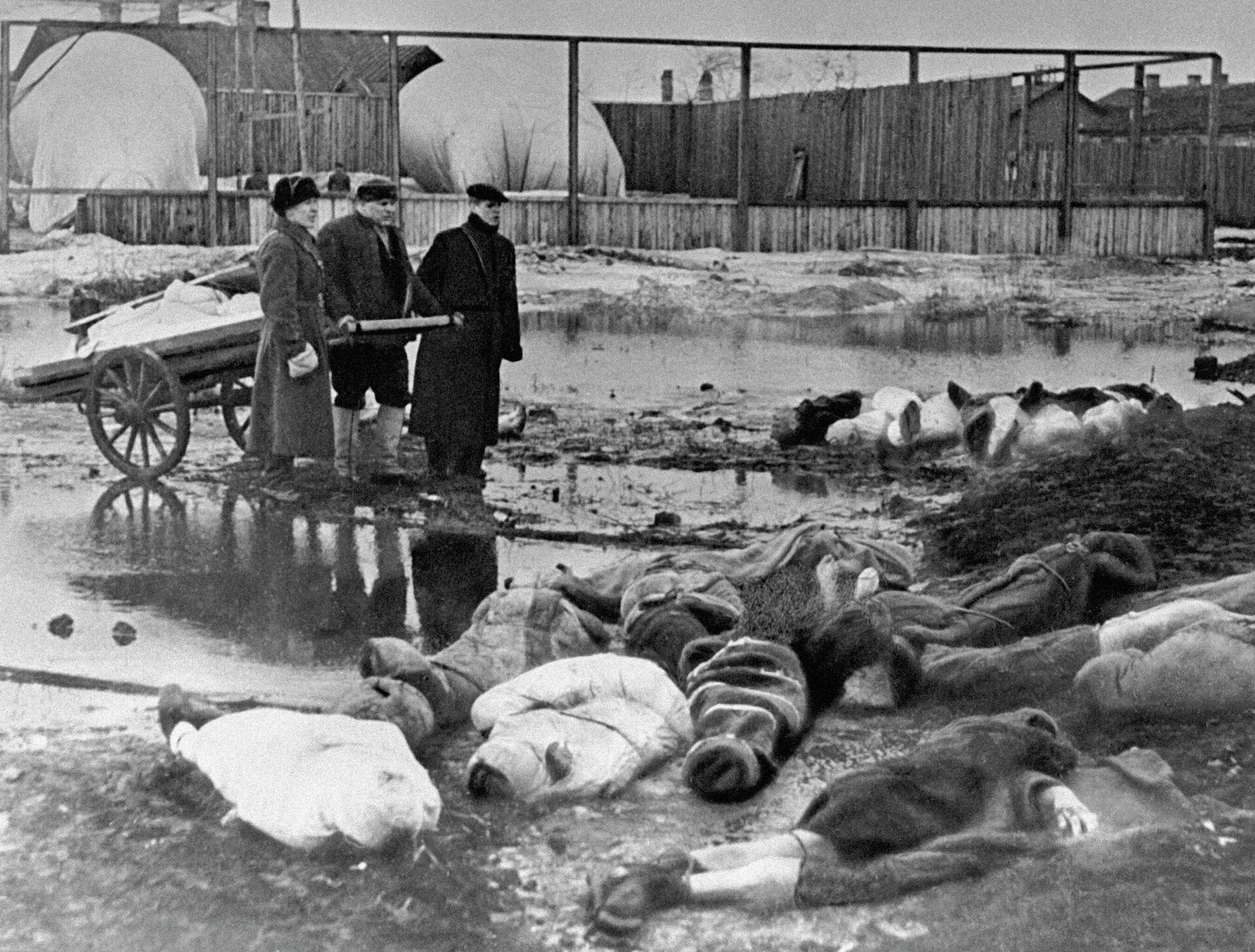 Những người đàn ông chôn cất người chết trong cuộc phong tỏa ở Leningrad. Nghĩa trang Sói. - Sputnik Việt Nam, 1920, 03.10.2022