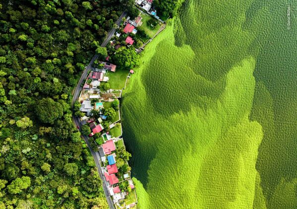 Bức ảnh The dying lake của nhà nhiếp ảnh Guatemala Daniel Núñez, chiến thắng trong hạng mục Wetlands - The Bigger Picture cuộc thi Wildlife Photographer of the Year 58. - Sputnik Việt Nam