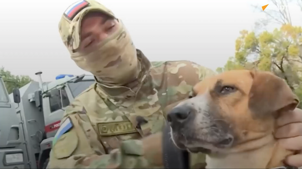 Chàng sĩ quan Nga giải cứu chú chó bị thương trong khu vực chiến dịch đặc biệt - Sputnik Việt Nam
