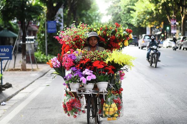 Người bán hoa trên phố Hà Nội. - Sputnik Việt Nam