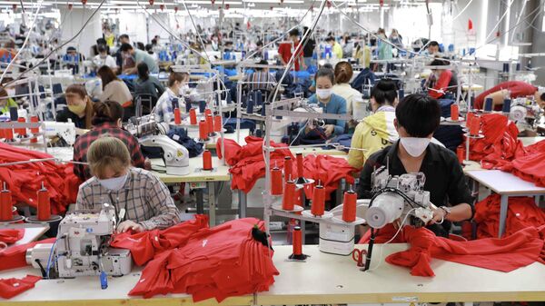 An Giang: Doanh nghiệp FDI vốn Đan Mạch tạo việc làm cho hơn 1.000 lao động địa phương - Sputnik Việt Nam