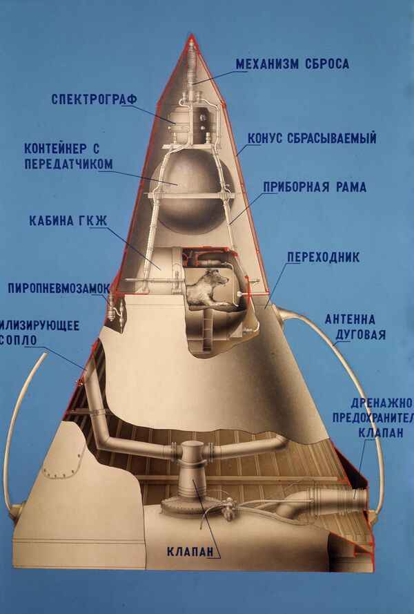 Giản đồ của vệ tinh Trái đất nhân tạo thứ hai với phương tiện phóng. Theo kế hoạch, Laika phải sống trên quỹ đạo đúng một tuần, theo mức độ mà hệ thống hỗ trợ sự sống cho phép. - Sputnik Việt Nam