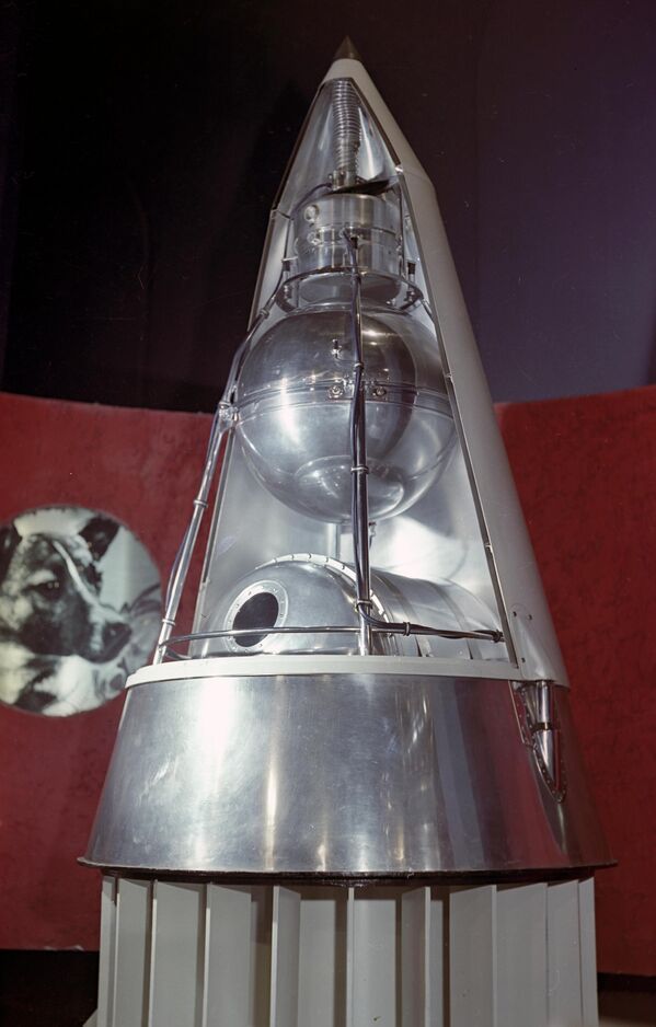 Con chó sống sót thành công sau khi phóng Sputnik-2 lên quỹ đạo, nhưng chỉ sống được qua 4 vòng bay quanh quỹ đạo, nó đã chết vì quá nóng, sau 5-7 giờ bay. - Sputnik Việt Nam