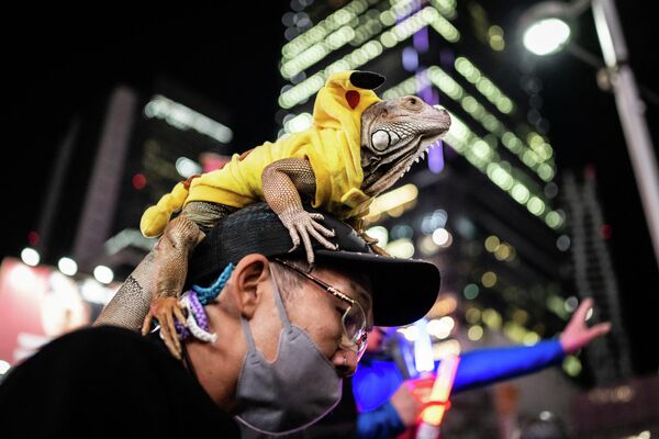Con thằn lằn trong bộ đồ Pokemon ngồi trên đầu người đàn ông tham gia Halloween ở khu vực Shibuya ở Tokyo. - Sputnik Việt Nam