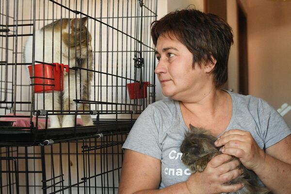 Chị Yevgenia Mikhailova phụ trách Trại tạm trú «Mái ấm của mèo» với những vật nuôi được bảo trợ ở Donetsk. - Sputnik Việt Nam