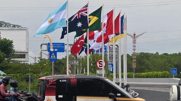 Cờ của các nước thành viên G20 tung bay trước hội nghị thượng đỉnh G20 ở Nusa Dua, Bali. - Sputnik Việt Nam