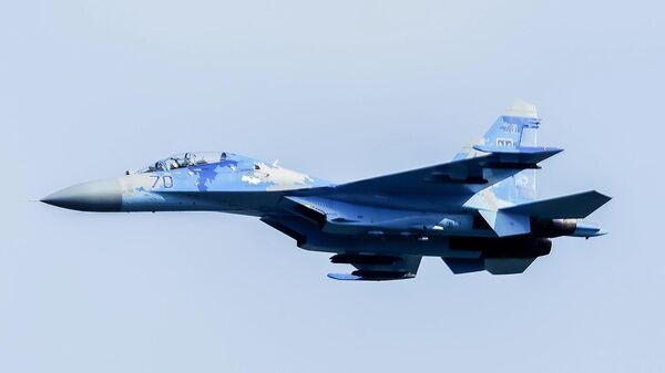 Tiêm kích Su-27 của Không quân Ukrainа - Sputnik Việt Nam