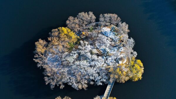 Tuyết phủ trắng cây cối ở Công viên Beilin, Thẩm Dương, Trung Quốc. - Sputnik Việt Nam