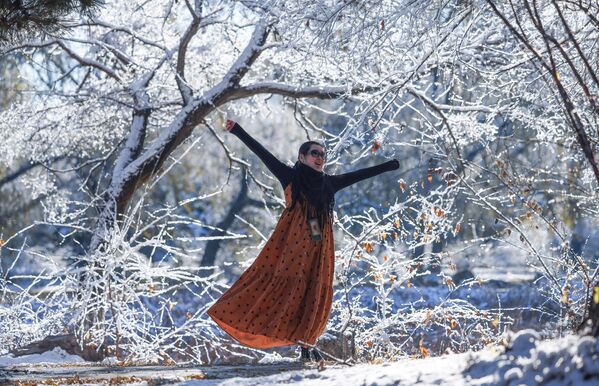 Người phụ nữ tạo dáng chụp ảnh dưới những tán cây phủ đầy tuyết trong Công viên Beilin ở Thẩm Dương, Trung Quốc. - Sputnik Việt Nam