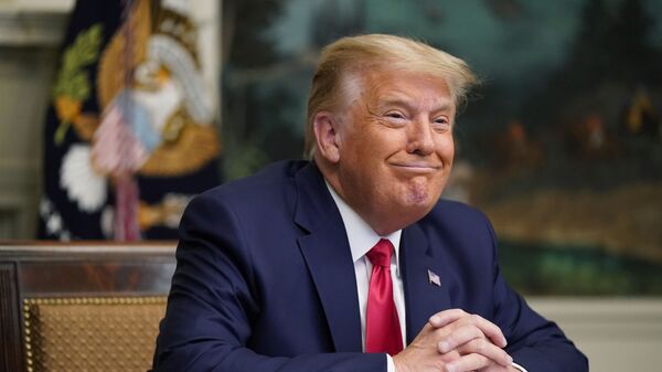 Cựu Tổng thống Hoa Kỳ Donald Trump  - Sputnik Việt Nam