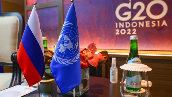 Hội nghị thượng đỉnh G20 ở Bali - Sputnik Việt Nam