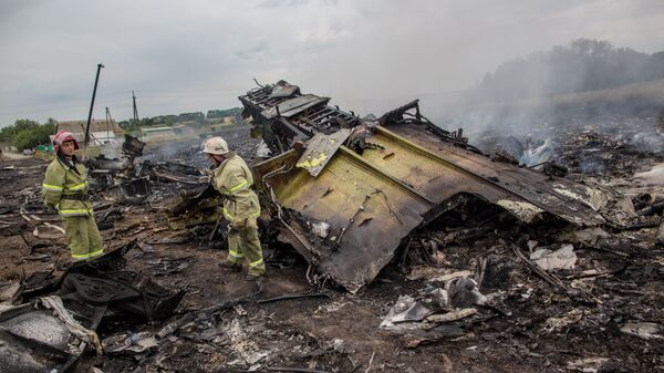Lực lượng cứu hộ tại hiện trường vụ rơi máy bay Boeing của Malaysia ở Ukraina - Sputnik Việt Nam