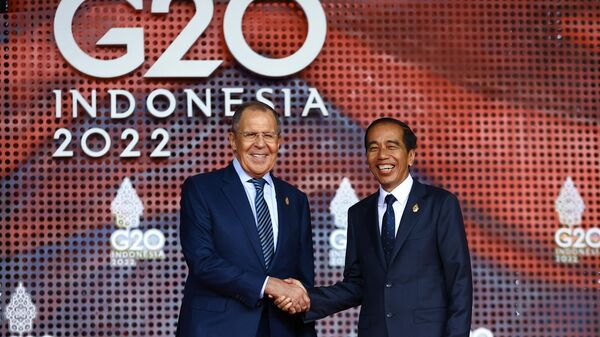 Ngoại trưởng Nga Sergei Lavrov và Tổng thống Indonesia Joko Widodo trong hội nghị thượng đỉnh G20 ở Bali - Sputnik Việt Nam