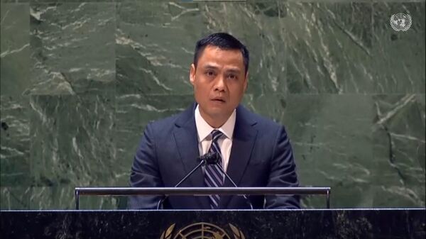 Đại sứ Đặng Hoàng Giang, Trưởng Phái đoàn thường trực Việt Nam tại LHQ phát biểu tại phiên họp. - Sputnik Việt Nam