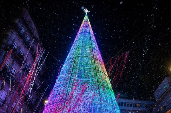 Cây thông Noel ở miền Bắc Tây Ban Nha. - Sputnik Việt Nam