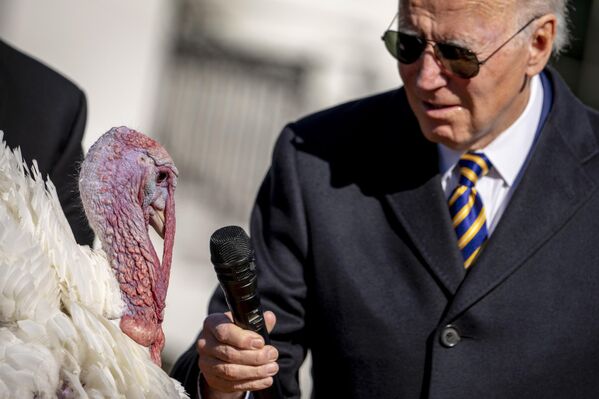 Tổng thống Joe Biden cầm micrô hướng về con gà tây trong Lễ tạ ơn tại lễ ân xá ở Nhà Trắng, Washington.. - Sputnik Việt Nam
