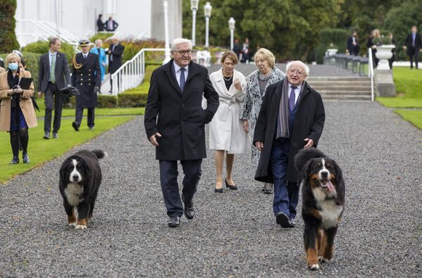 Tổng thống Đức Frank-Walter Steinmeier và Tổng thống Ireland Michael D. Higgins cùng với những chú chó núi Bernese tên là Brod và Siod tại Aras an Oachtaraine, dinh thự chính thức của Tổng thống Ireland, ở Dublin. - Sputnik Việt Nam