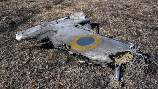 Máy bay cường kích Su-25 của Ukraine bị bắn rơi ở vùng Kherson - Sputnik Việt Nam