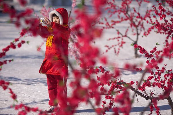Bé gái được chụp ảnh đứng dưới tuyết tại Hội chợ Chùa Longtan ở Bắc Kinh. - Sputnik Việt Nam