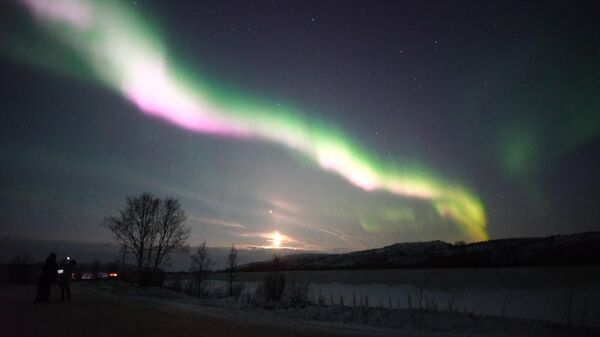Mạng che bằng các ngôi sao. Bắc cực quang nhuộm màu bầu trời ở vùng Murmansk, Nga - Sputnik Việt Nam