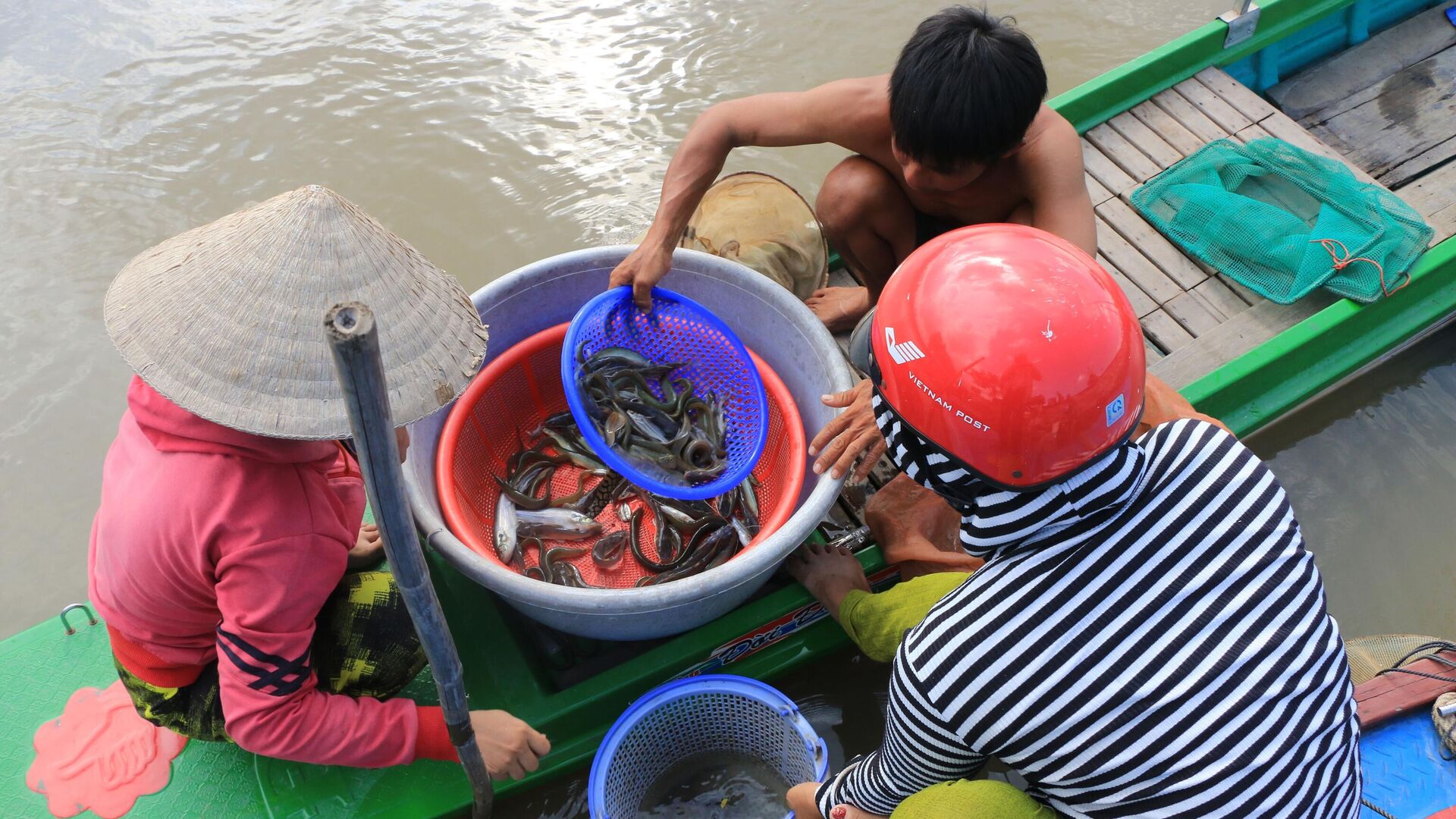 Người dân vùng đầu nguồn của tỉnh Đồng Tháp tranh thủ bắt cá trong những ngày cá từ đồng ruộng bơi ra các nhánh sông. - Sputnik Việt Nam, 1920, 06.12.2022