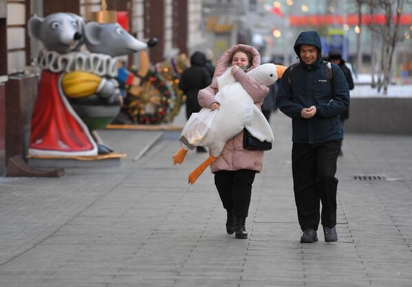 Người qua đường với món đồ chơi mềm gần Trung tâm Thế giới Thiếu nhi trên đường Lubyanka ở Moskva. - Sputnik Việt Nam