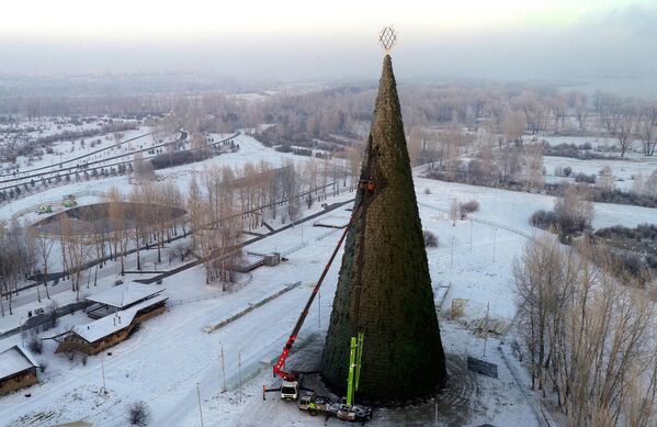 Dựng cây thông Noel chính của thành phố ở Krasnoyarsk, Nga. - Sputnik Việt Nam