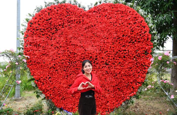 Cô gái tạo dáng trong lễ hội hoa ở huyện Mê Linh, ngoại thành Hà Nội. - Sputnik Việt Nam