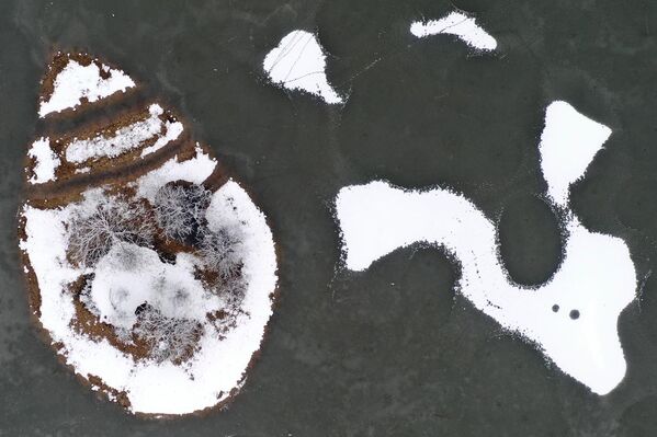 Quang cảnh mặt hồ đóng băng ở Công viên Richmond, Tây Nam London, Vương quốc Anh. - Sputnik Việt Nam
