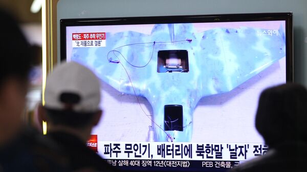 Máy bay không người lái của Bắc Triều Tiên được chiếu trên một chương trình tin tức, Hàn Quốc. Tháng 4 năm 2014 - Sputnik Việt Nam