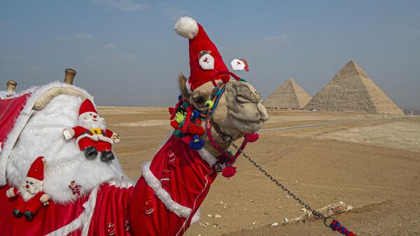 Một con lạc đà khoác quần áo Giáng sinh gần các kim tự tháp Giza ở vùng ngoại ô phía tây nam của thủ đô Ai Cập. - Sputnik Việt Nam