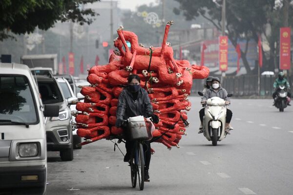Người phụ nữ chở hình ngựa trên xe đạp, Việt Nam. - Sputnik Việt Nam