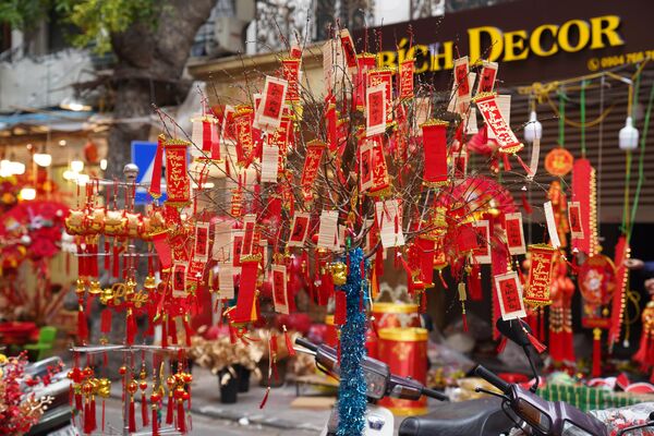 Phố Hàng Mã rực rỡ bởi sắc đỏ, đa dạng mặt hàng trang trí, phục vụ người dân Thủ đô mua sắm, chơi Tết Nguyên đán Quý Mão  - Sputnik Việt Nam