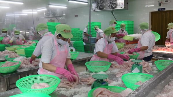 Công nhân chế biến cá tra xuất khẩu tại Công ty Cổ phần Gò Đàng (Khu công nghiệp Mỹ Tho). - Sputnik Việt Nam