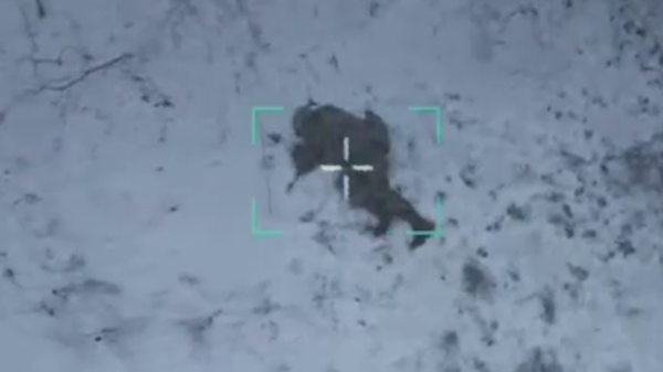 Người lính Nga tránh lựu đạn và tay không bắt giặc lái bẻ gãy máy bay không người lái của Ukraina - Sputnik Việt Nam