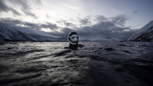 Пятикратный чемпион мира по фридайвингу француз Артур Герен-Боэри плавает рядом с косатками в Северном Ледовитом океане на острове Спилдра за северным полярным кругом  - Sputnik Việt Nam