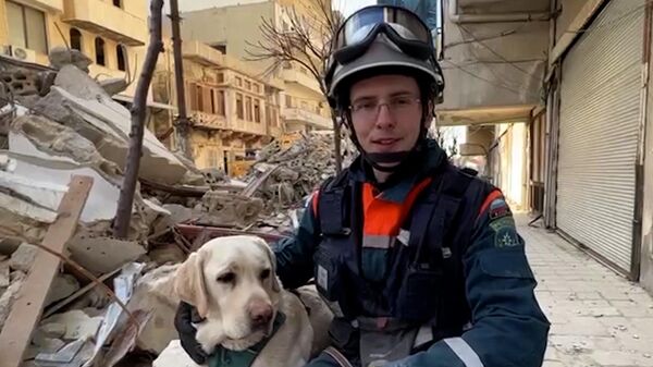 Những chú chó hỗ trợ công tác cứu hộ sau động đất ở Syria - Sputnik Việt Nam