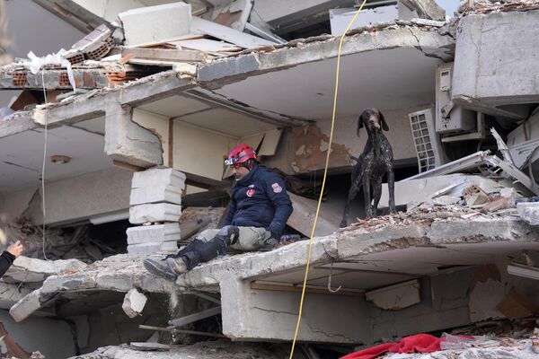 Nhân viên cứu hộ cùng với chó nghiệp vụ tìm kiếm trong tòa nhà bị phá hủy ở Antakya. - Sputnik Việt Nam