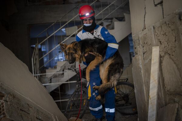 Thành viên nhóm bảo vệ động vật Thổ Nhĩ Kỳ HAYTAP giải cứu con chó bị mắc kẹt bảy ngày trong ngôi nhà bị động đất phá hủy ở Antakya. - Sputnik Việt Nam