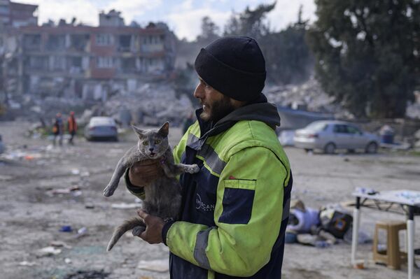 Người đàn ông ôm con mèo được giải cứu, Thổ Nhĩ Kỳ. - Sputnik Việt Nam