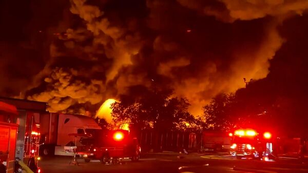 Mỹ: Xảy ra đám cháy lớn tại nhà kho của vườn ươm Florida - Sputnik Việt Nam