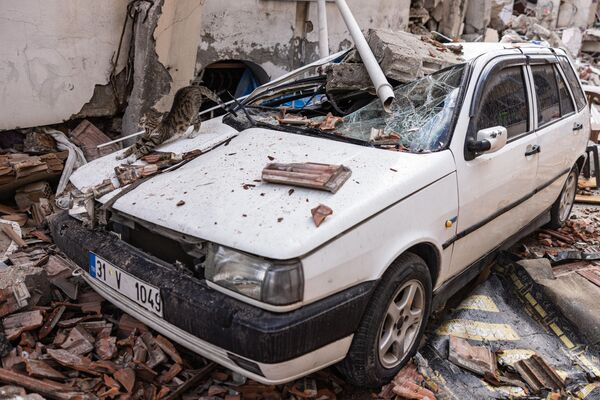 Con mèo nằm trên chiếc ô tô bị phá hủy sau trận động đất mạnh 6,4 độ richter ở tỉnh Hatay, miền nam Thổ Nhĩ Kỳ. - Sputnik Việt Nam