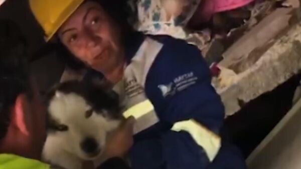 Giải cứu chú chó khỏi đống đổ nát sau trận động đất ở Thổ Nhĩ Kỳ - Sputnik Việt Nam
