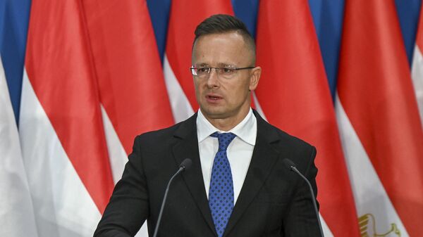 Ngoại trưởng Hungary Peter Szijjarto - Sputnik Việt Nam