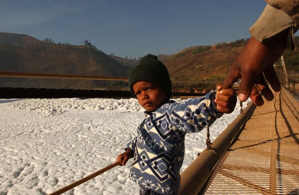 Cậu bé nắm tay cha đi qua cây cầu hẹp bắc qua sông Tietê, Brazil. - Sputnik Việt Nam