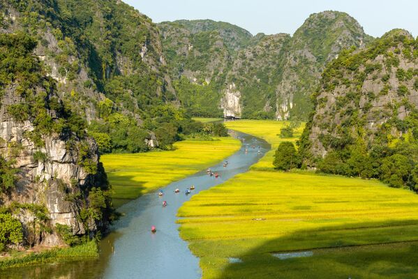 Cánh đồng lúa vàng trên con sông Ngô Đồng ở Tam Cốc Bích Động nhìn lên đỉnh núi, Việt Nam. - Sputnik Việt Nam