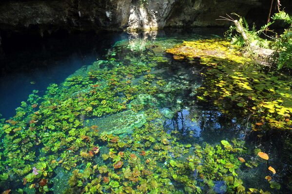 Con sông ngầm Sac Actun ở Tulum, Mexico. - Sputnik Việt Nam