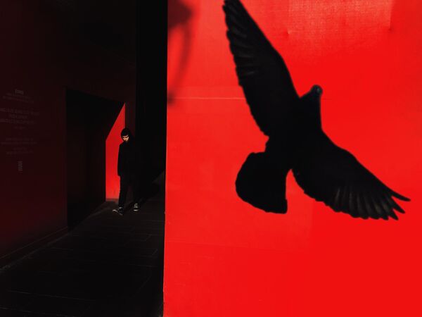 Bức ảnh Spirit of City của Michel Kharoubi, người chiến thắng hạng mục The Darkness-Noir tại Mobile Photography Awards lần thứ 12. - Sputnik Việt Nam