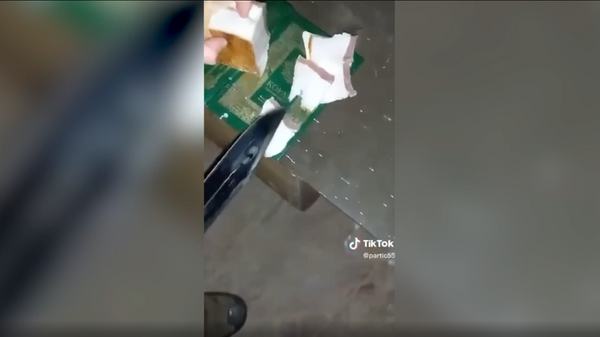 Xuất hiện video chiến binh Ukraina cắt mỡ lợn muối trên sách kinh thánh của người Hồi giáo - Sputnik Việt Nam